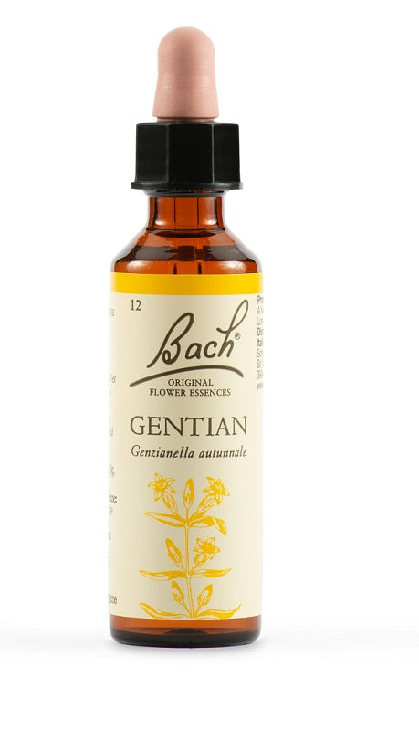 Gentian bach orig 20 ml