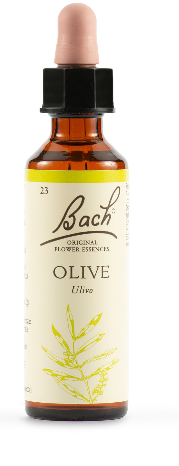 Olive bach orig 20 ml