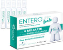 Enterolife forte 4 miliardi 10 fiale da 5 ml