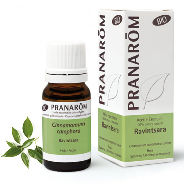 Pranarom ravintsara olio essenziale bio 10 ml