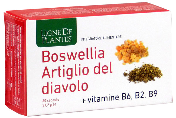 Boswellia artiglio diavolo vitamine b2 b6 b9 60 capsule