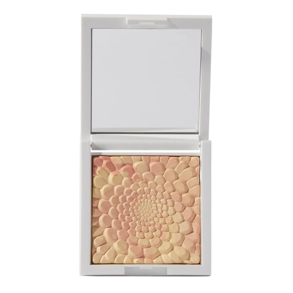 Goovi blotting powder  02