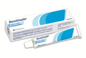 Dentinale 0,5% + 0,5% pasta gengivale  amilocaina cloridrato, sodio benzoato  tubo 25 g