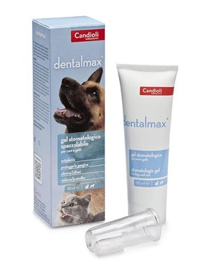 Dentalmax gel stomatologico 50 ml