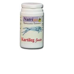 Kartileg junior 600 tavolette