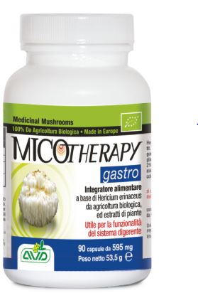 Micotherapy gastro 90 capsule flacone 53,50 g