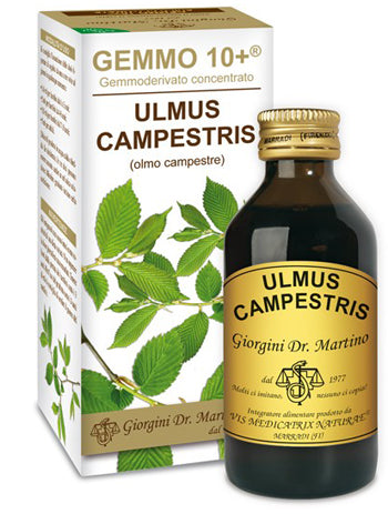 Gemmo 10+ olmo campestre 100 ml liquido analcolico