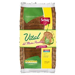 Schar vital del mastro panettiere senza lattosio 350 g