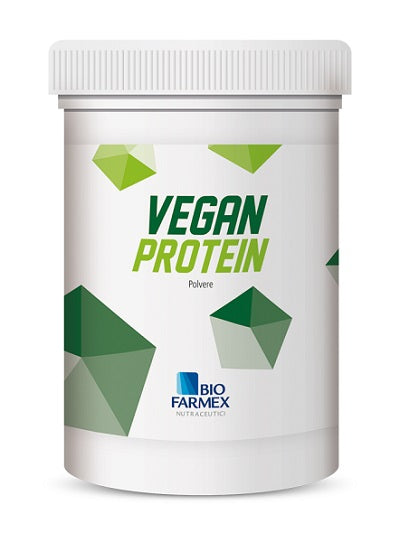 Vegan protein 500 g