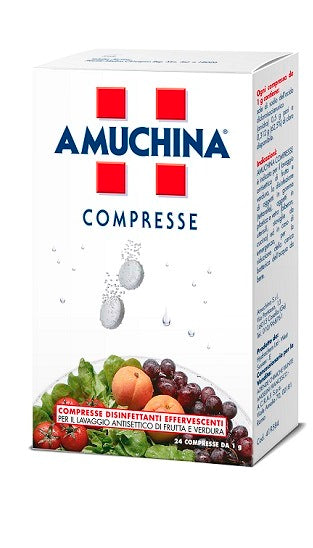 Amuchina compresse 1 g 24 pezzi