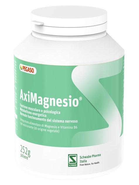 Aximagnesio polvere 252 g