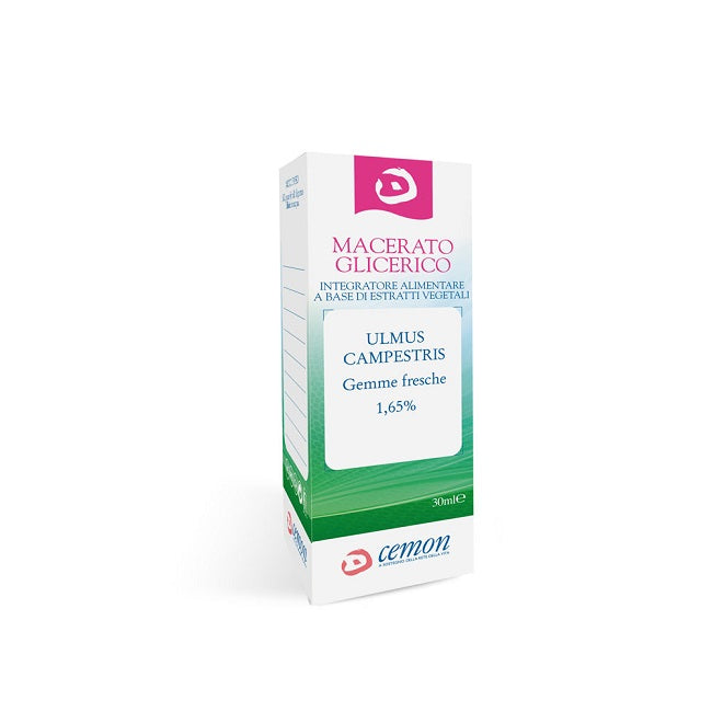 Ulmus campestre gemme macerato glicerico 30 ml