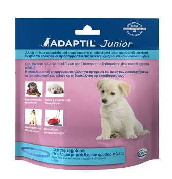 Adaptil junior collare