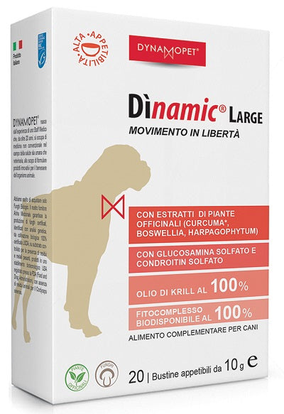 Dinamic large 20 bustine 10 g