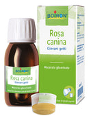 Rosa canina macerato glicerico 60 ml int