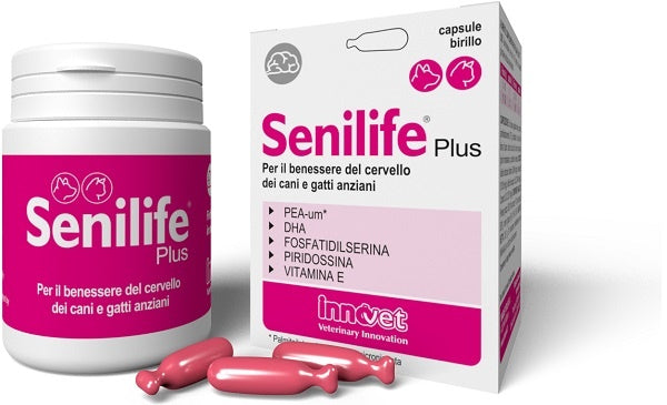 Senilife plus 60 capsule