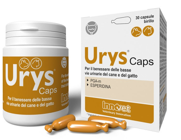 Urys caps 30 capsule